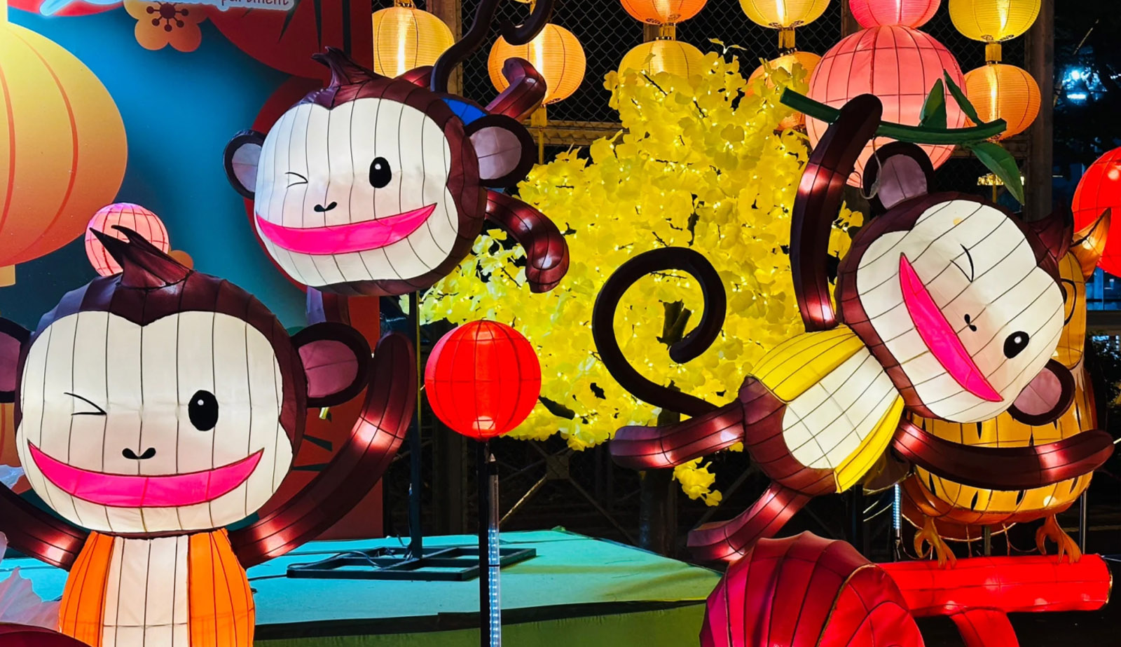 Hong Kong Mid-Autumn Lantern Festival-01 (9)