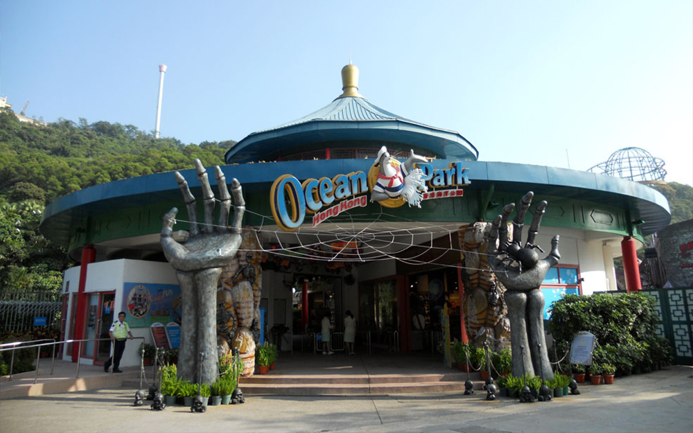 Ocean Park (17)